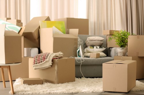 Seasonal belongings placed in Freezywater storage
