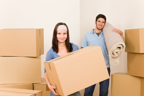 A tidy living room improved by household storage solutions