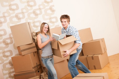 Seasonal household items arranged for storage in Freezywater